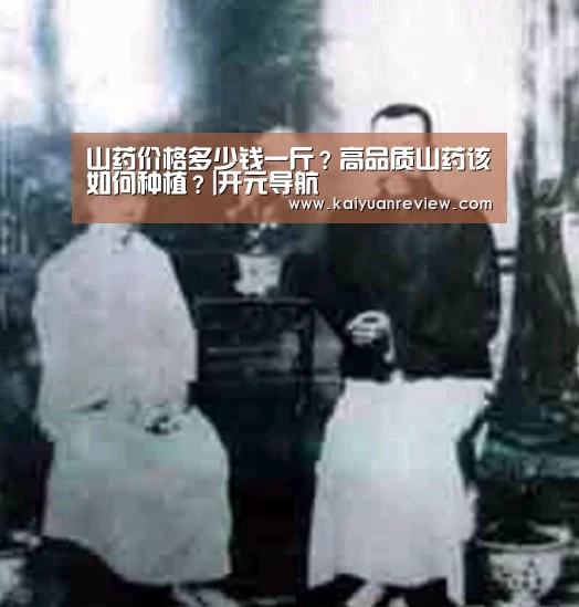 开元棋牌