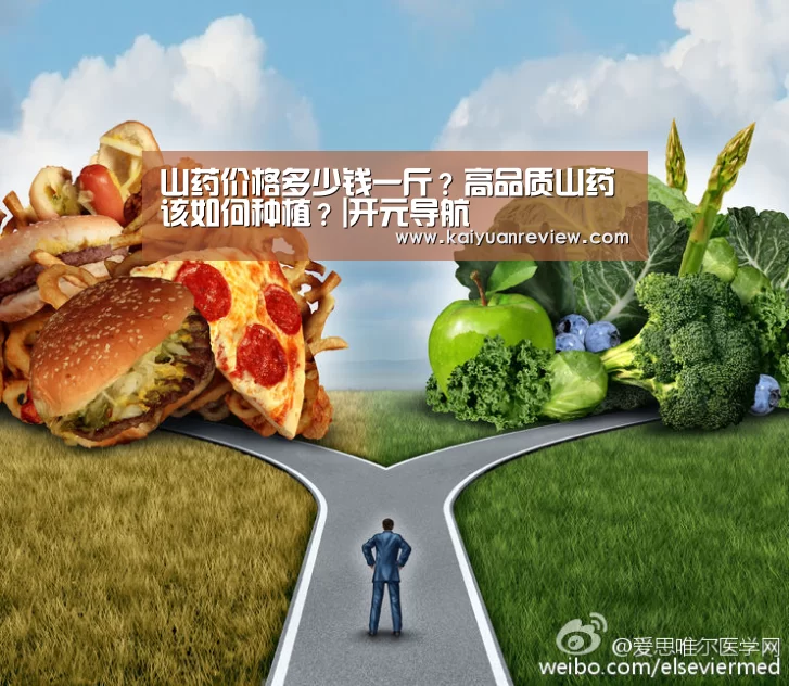 开元导航