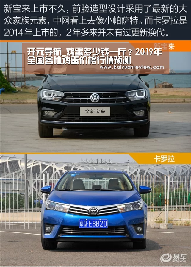 开元导航_鸡蛋多少钱一斤?2019年全国各地鸡蛋价格行情预测(图1) 开元棋牌
