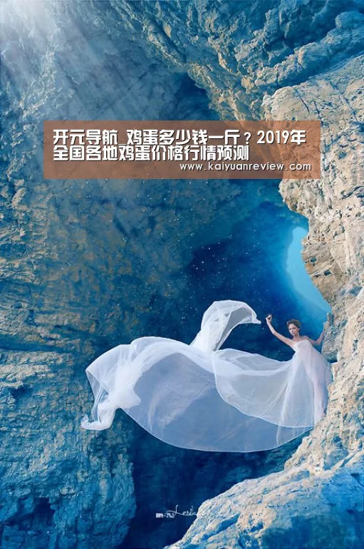 开元导航_鸡蛋多少钱一斤?2019年全国各地鸡蛋价格行情预测(图4) 开元棋牌