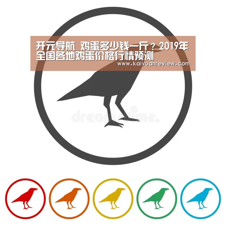 开元导航_鸡蛋多少钱一斤?2019年全国各地鸡蛋价格行情预测(图2) 开元体育