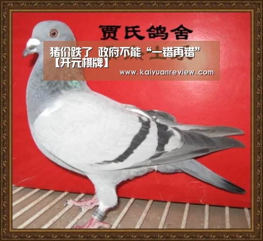 开元导航