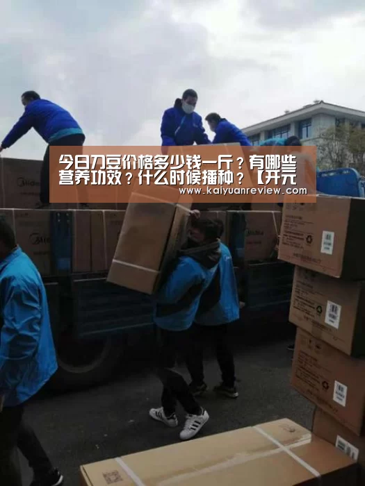 今日刀豆价格多少钱一斤?有哪些营养功效?什么时候播种?【开元棋牌】(图1) 开元棋牌